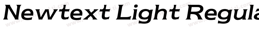 Newtext Light Regular字体转换